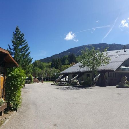 B&B - Cane In Fiore Baselga di Pine Luaran gambar