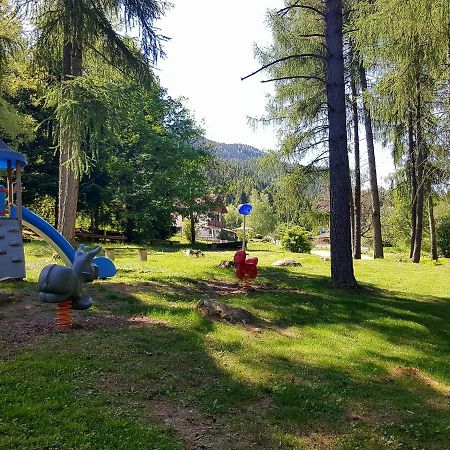 B&B - Cane In Fiore Baselga di Pine Luaran gambar